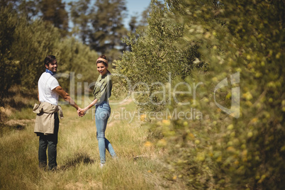 Couple holding hands while standing at olive farm