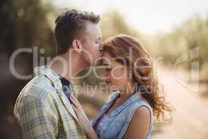 Young man kissing woman at olive farm