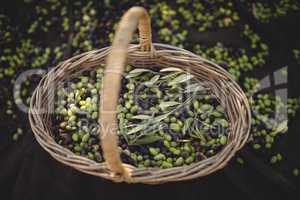 High angle view of olives in wicker basket