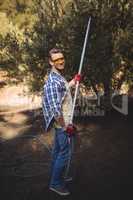 Portrait of smiling man using olive rake at farm