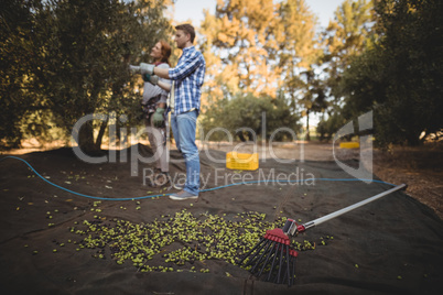 Young man and woman standing by olives and rake