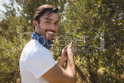 Close up portrait of man holding olive tree at farm