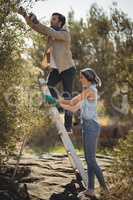 Smiling young couple plucking olives at farm