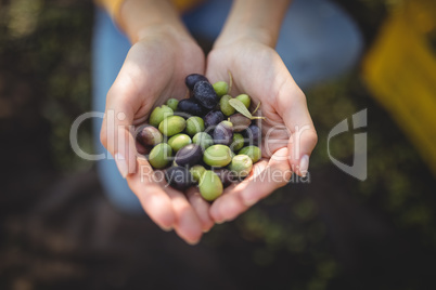 High angle view of woman holding olives