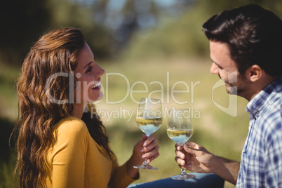 Happy young couple toasting wineglasses