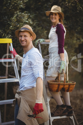 Smiling young couple with ladders standing at olive farm