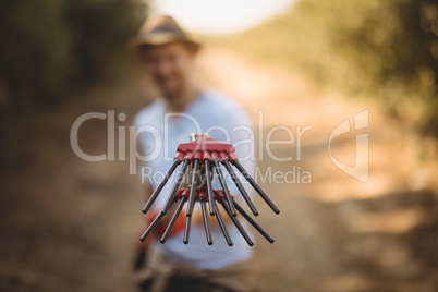 Male farmer with olive rake at farm