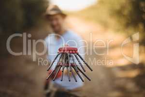 Male farmer with olive rake at farm