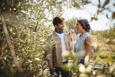 Young couple amidst trees on sunny day at olive farm