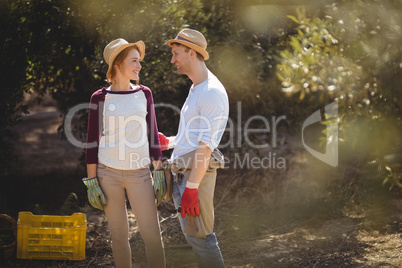 Young couple talking while standing at olive farm Young couple talking while standing at olive farm