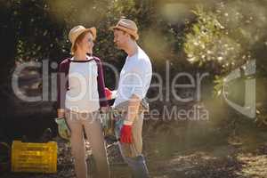 Young couple talking while standing at olive farm