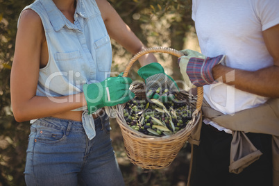 Mid section of young couple holding olives in basket