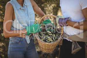 Mid section of young couple holding olives in basket