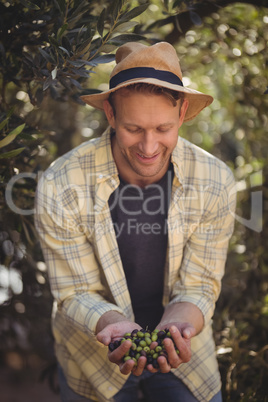 Man holding olives while standing by trees at farm