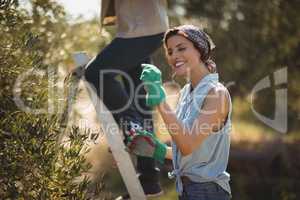 Girlfriend holding pliers while boyfriend climbing on ladder at olive farm