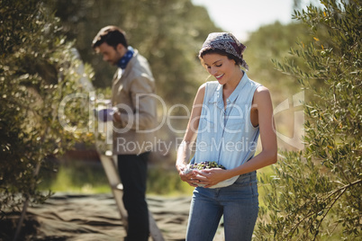 Woman carrying olives with man in background at farm