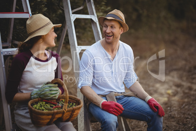 Young couple talking while sitting on ladders at olive farm