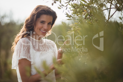 Smiling young woman holding olive tree at farm