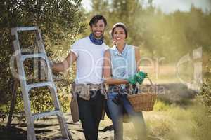 Smiling young couple standing by ladder at olives farm