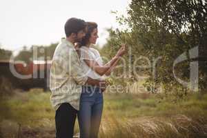Young couple standing by tree at farm