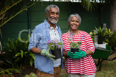 Portrait of smiling senior couple holding plants together