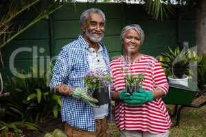 Portrait of smiling senior couple holding plants together