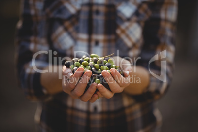 Mid section of female holding olives