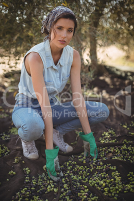 Portrait of woman collecting olives at farm