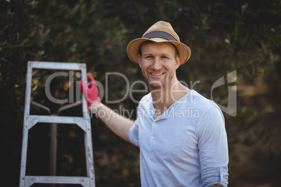 Smiling young man with ladder standing at olive farm