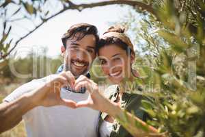 Smiling couple making heart shape by trees at olive farm