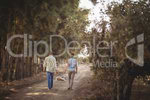 Couple carrying basket while walking on dirt road at farm