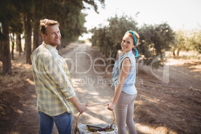 Smiling young couple carrying basket in field at olive farm