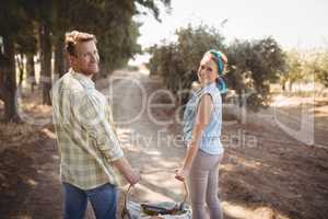 Smiling young couple carrying basket in field at olive farm