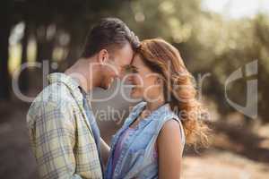 Young couple embracing at olive farm on sunny day