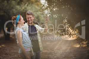 Young couple standing by olive tree at farm