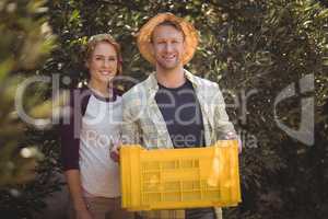 Portrait of happy man holding crate with woman at olive farm