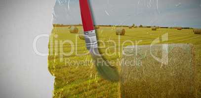 Composite image of composite image of red paintbrush