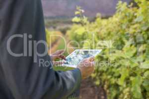 Business man holding a tablet computer against vineyard background