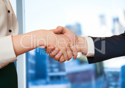 foreground of handshake in front of the window of the office