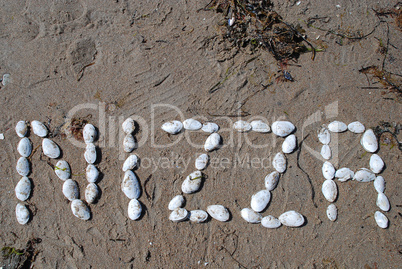Writing with shells: "Nizza" (German designation for Nice, Franc