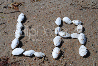 Writing with shells: "LA" (Los Angeles, USA)