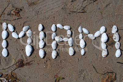 Writing with shells: "Miami" (USA)