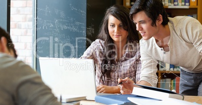 Colleagues looking at their laptop while studying