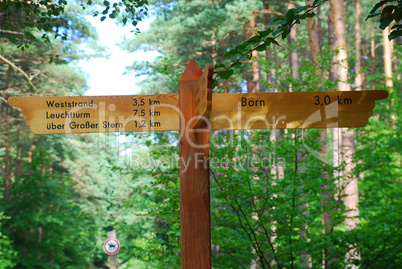 trail sign in the forest of Born (Darss, Germany)