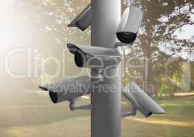 cctv in the park