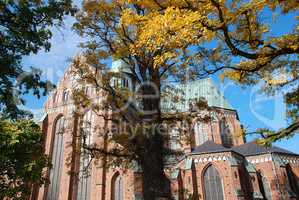Minster in Bad Doberan (Germany), autumn trees with yellow leave