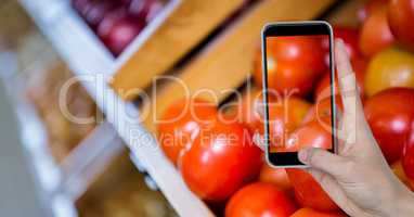 Hand taking picture of tomatoes through smart phone at grocery shop