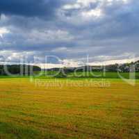 Field and sky