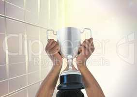 Cropped hands holding trophy against wall