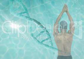 Swimmer with a dna chain and pool superposition